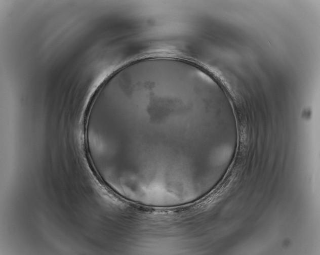 X0000097991466200804071138