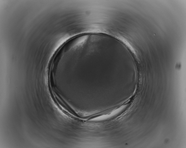 X0000097991468200804071138