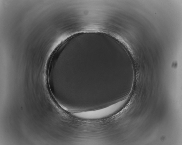 X0000097991469200804071138