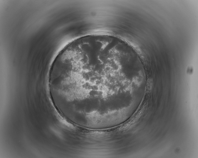 X0000097991470200804071138