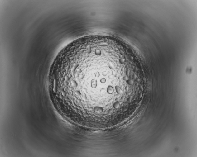 X0000097991471200804071138