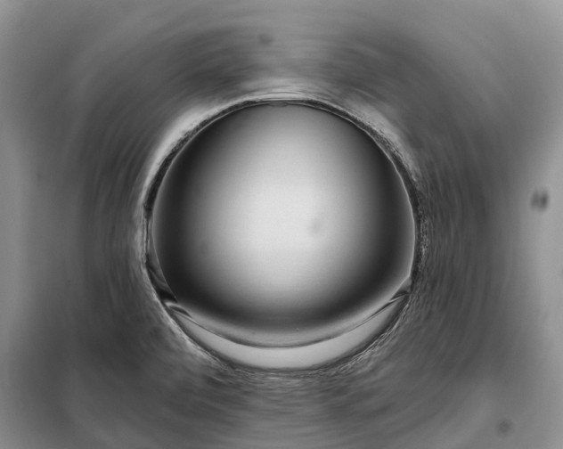X0000097991472200804071138