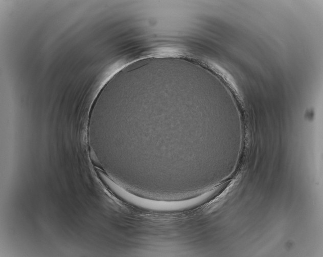 X0000097991473200804071138