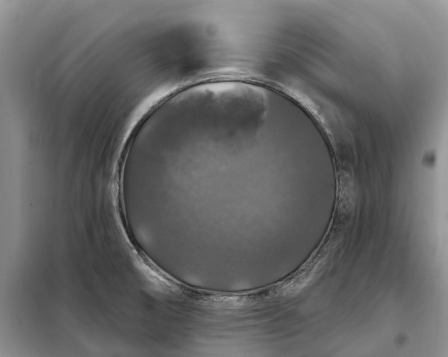 X0000097991474200804071138