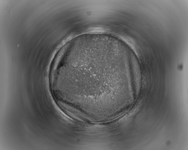 X0000097991475200804071138