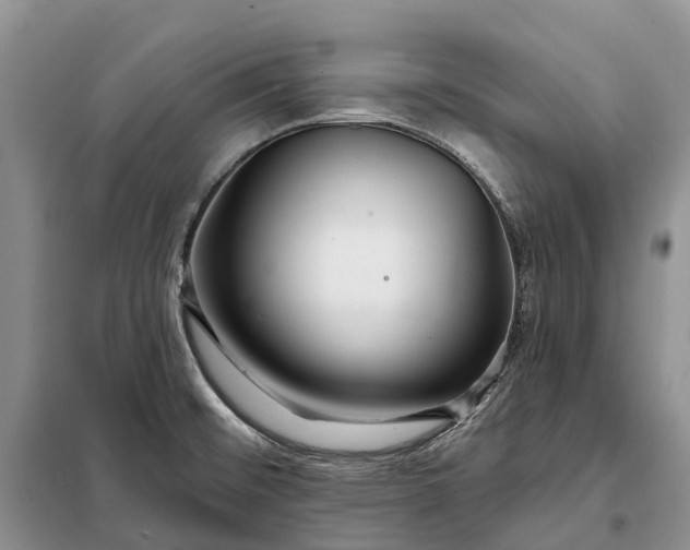 X0000097991476200804071138