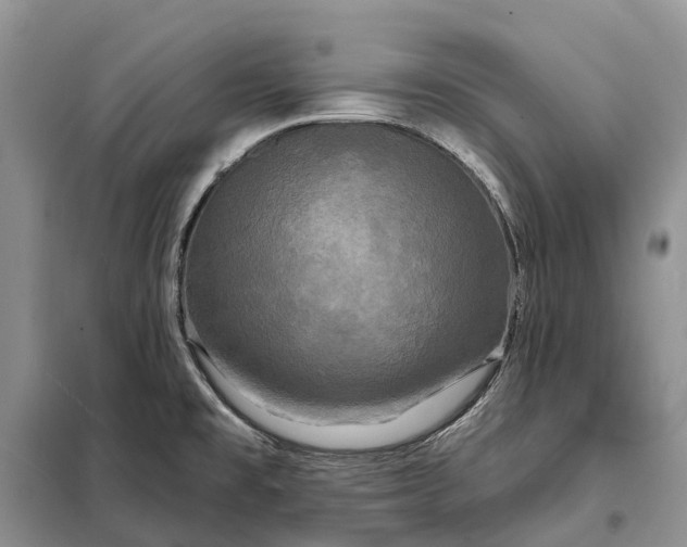 X0000097991477200804071138