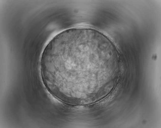 X0000097991478200804071138