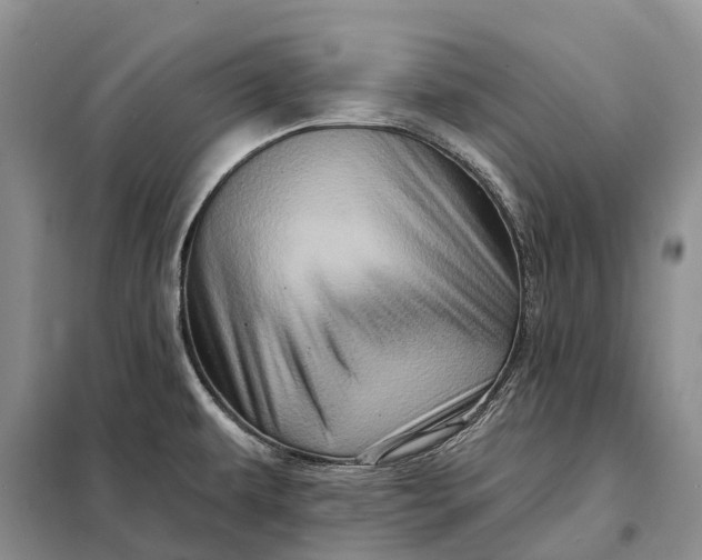 X0000097991479200804071138