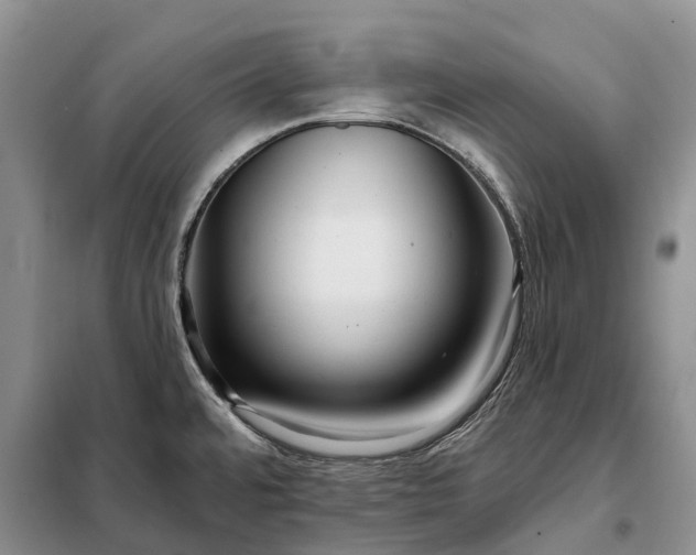X0000097991480200804071138