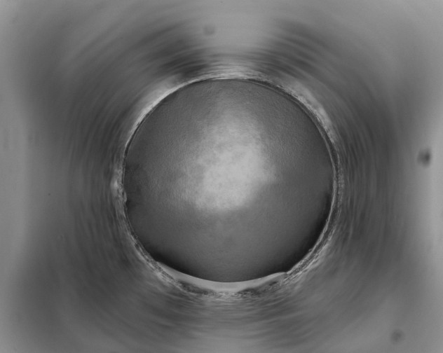 X0000097991481200804071138