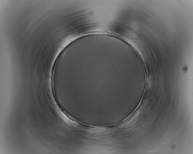 X0000097991482200804071138