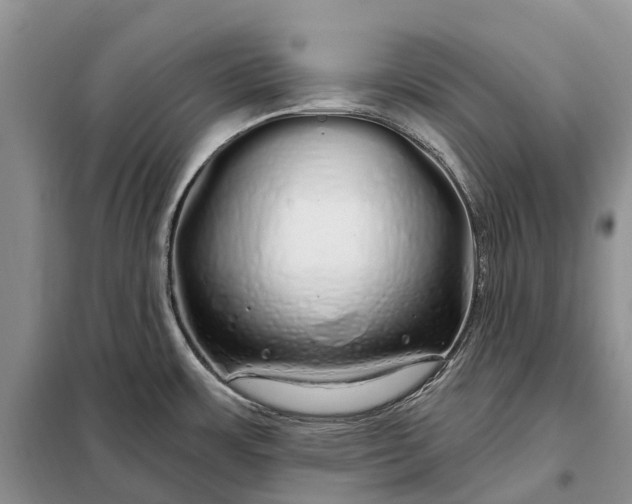X0000097991483200804071138