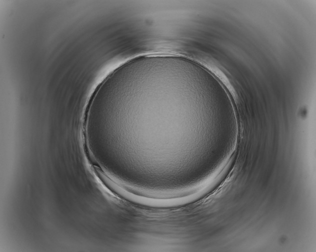 X0000097991485200804071138