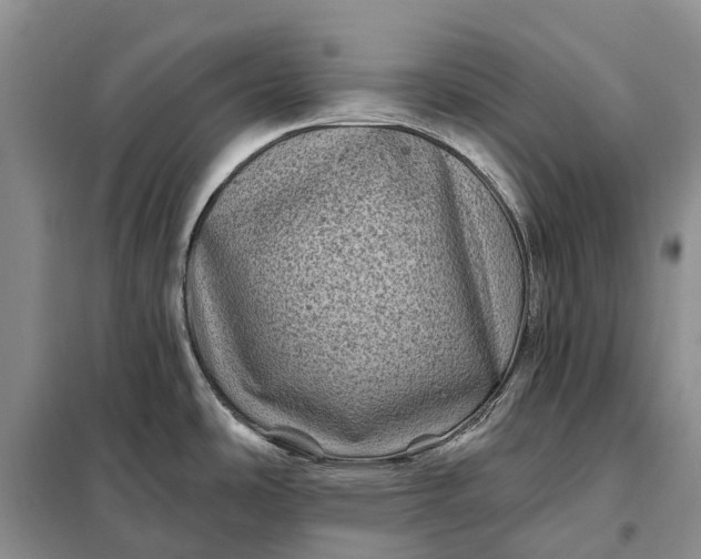 X0000097991486200804071138