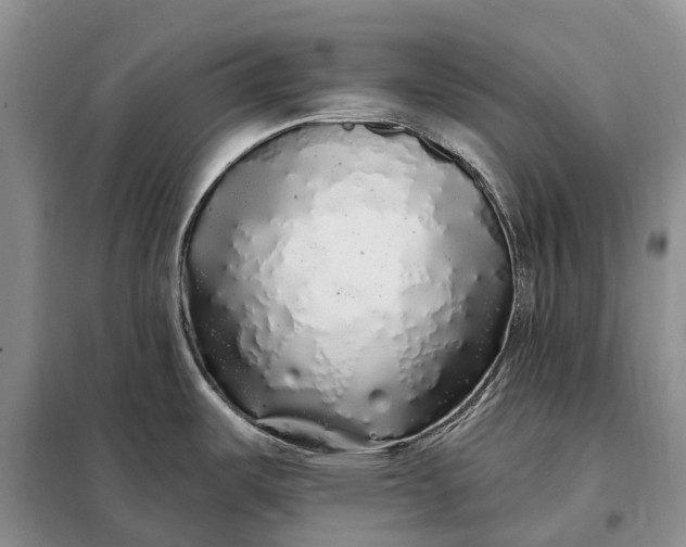 X0000097991487200804071138