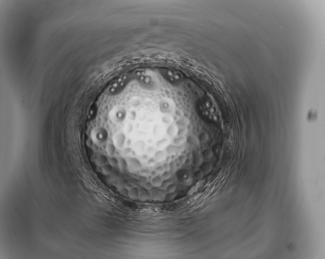 X0000097991489200804071137