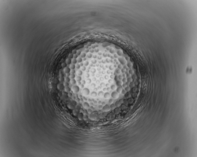 X0000097991490200804071137
