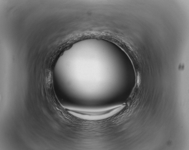 X0000097991492200804071137