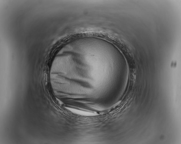 X0000097991493200804071137
