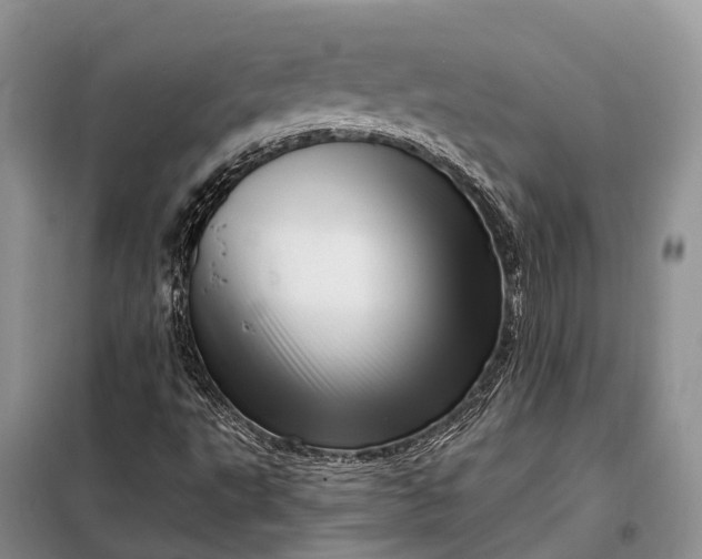 X0000097991495200804071137