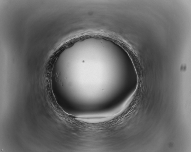 X0000097991496200804071137
