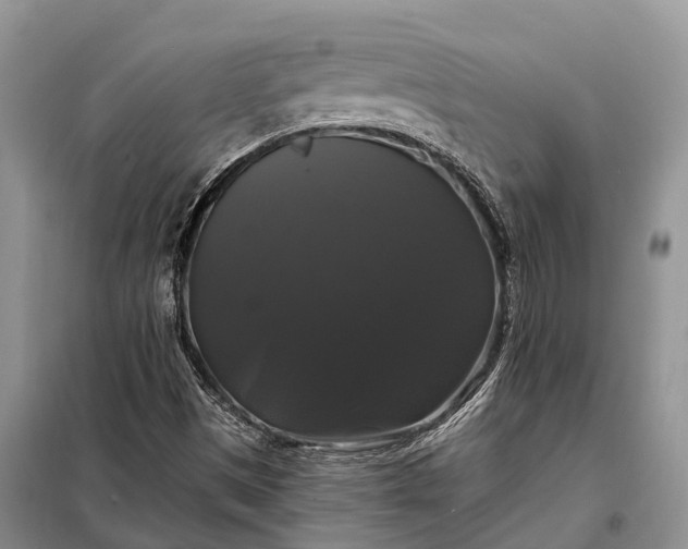 X0000097991497200804071137