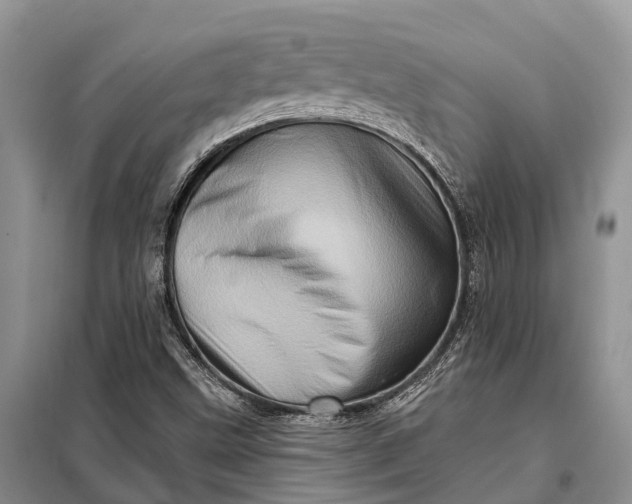 X0000097991499200804071137