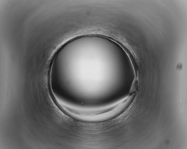X0000097991500200804071137