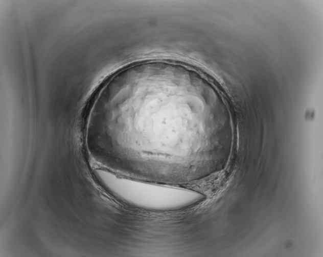 X0000097991501200804071137