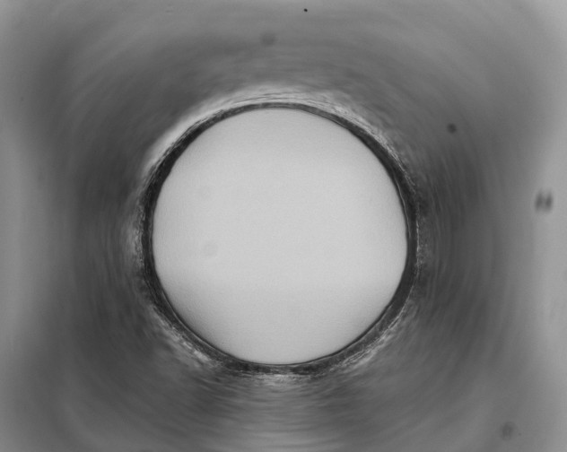 X0000097991502200804071137