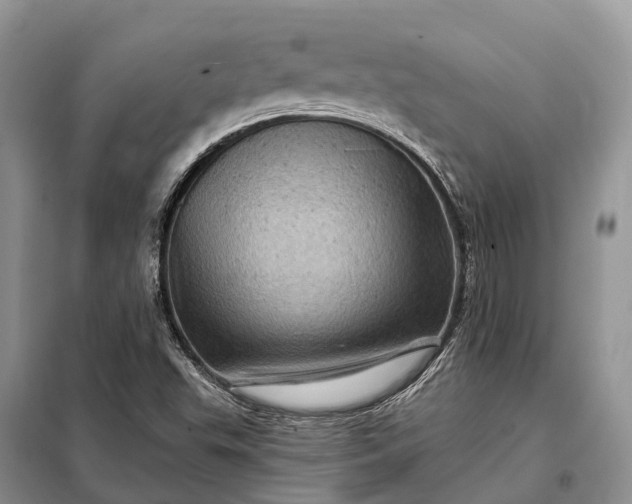 X0000097991503200804071137