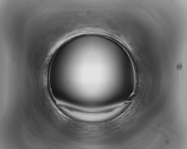 X0000097991504200804071137