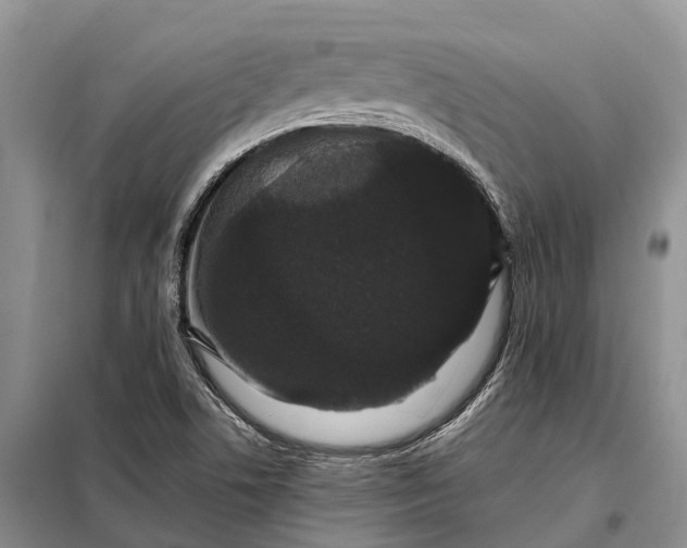 X0000097991506200804071138