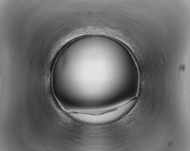 X0000097991507200804071138