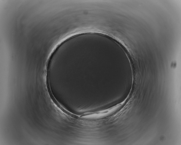 X0000097991508200804071138
