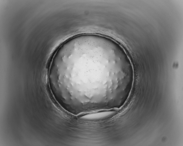 X0000097991509200804071138