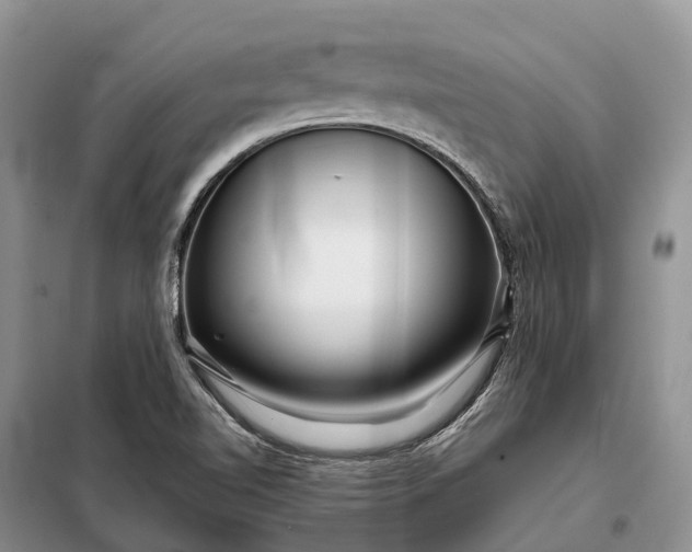 X0000097991510200804071138