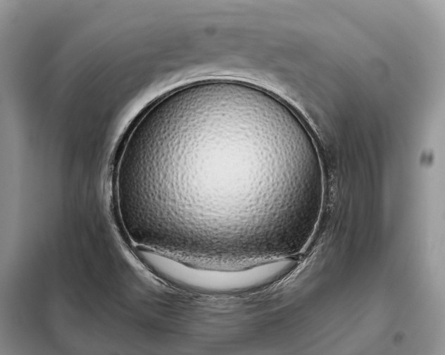 X0000097991511200804071138