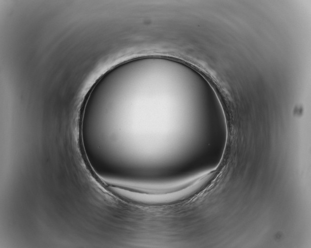 X0000097991512200804071138