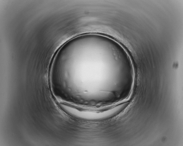 X0000097991513200804071138