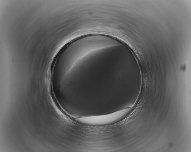 X0000097991515200804071138