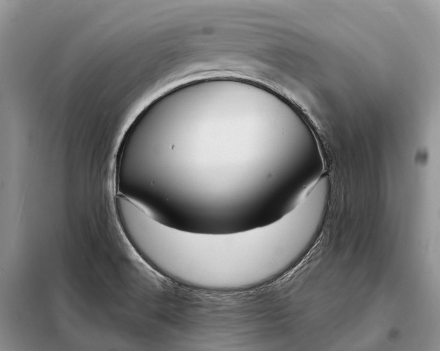 X0000097991516200804071138