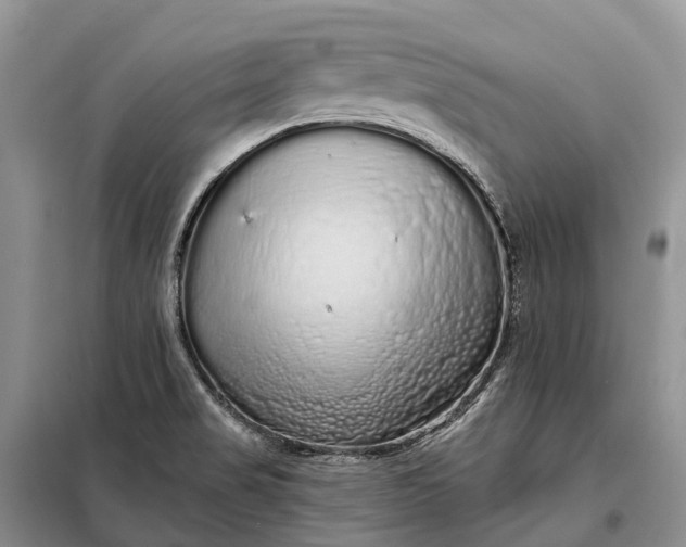 X0000097991517200804071138