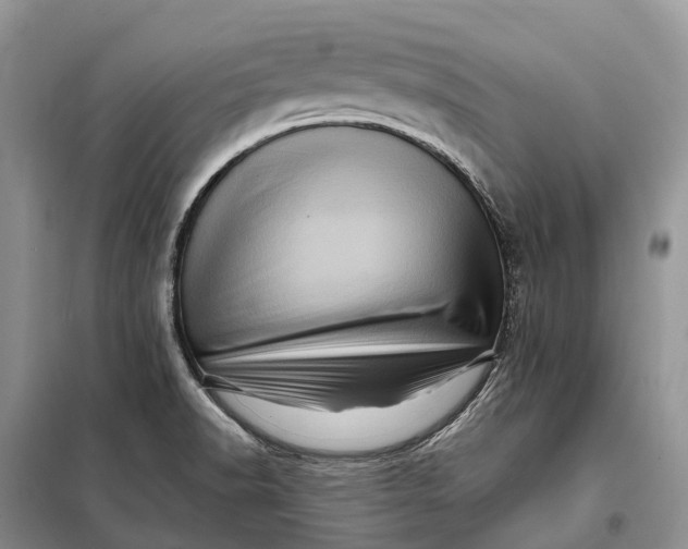 X0000097991518200804071138