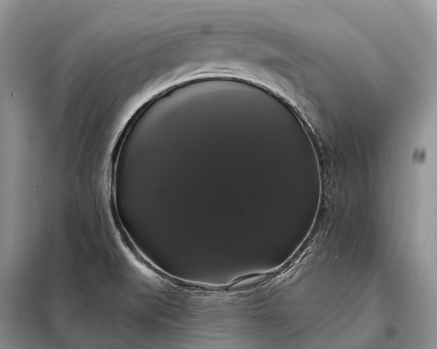 X0000097991519200804071138