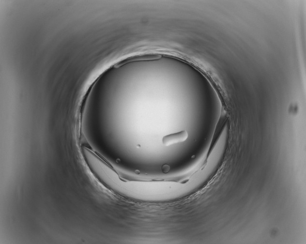 X0000097991520200804071138