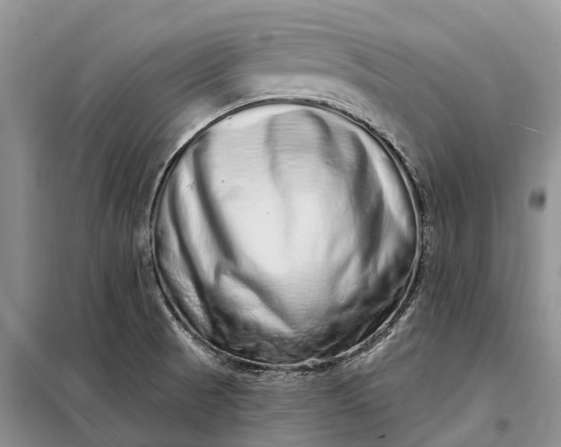 X0000097991521200804071138