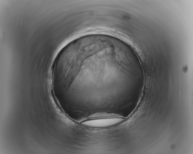 X0000097991522200804071138