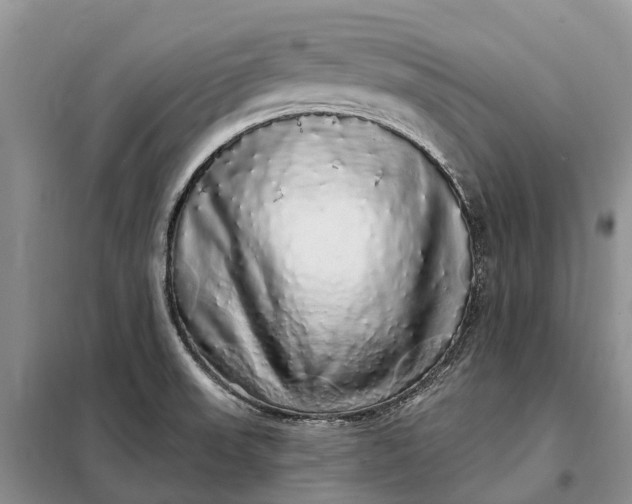 X0000097991523200804071138
